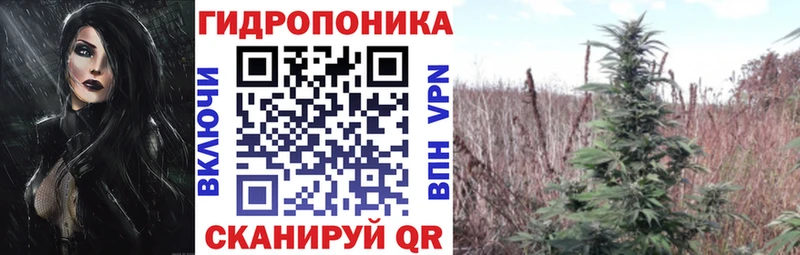 Где купить наркоту Канск COCAIN СОЛЬ Канабис Меф