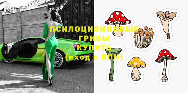 винт Алзамай