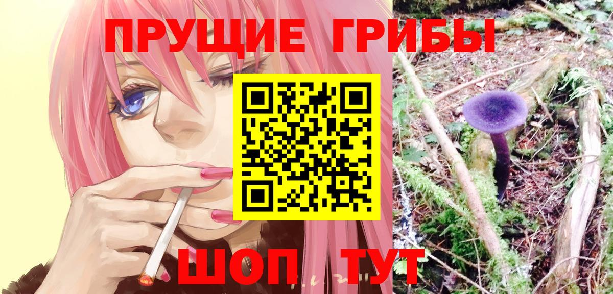 Галлюциногенные грибы прущие грибы Канск