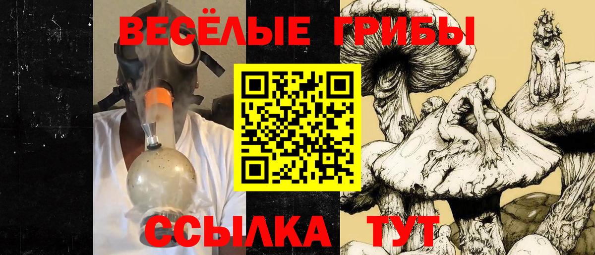 Псилоцибиновые грибы Cubensis  Псилоцибиновые грибы Cubensis  Канск  Вход с VPN 