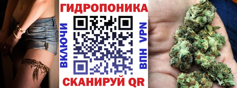 закладка  ссылка на мегу маркетплейс  Бошки марихуана LSD WEED  Канск 